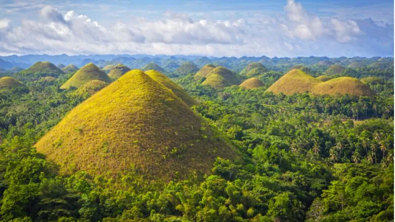 Bohol