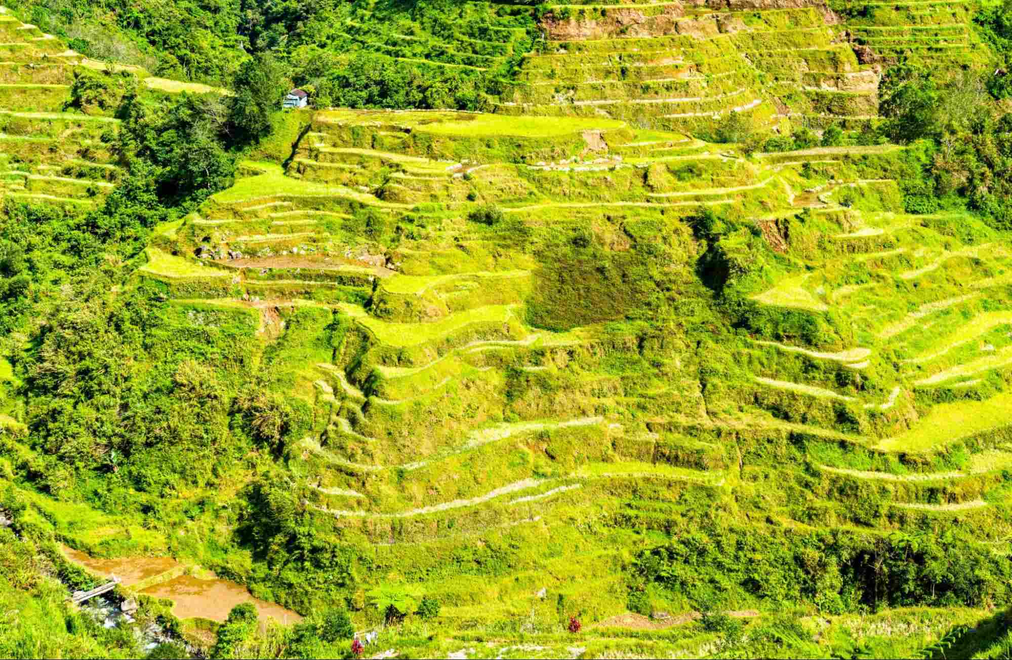Banaue Rice Terraces Banaue Rice Terraces